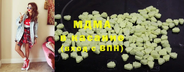 индика Елизово