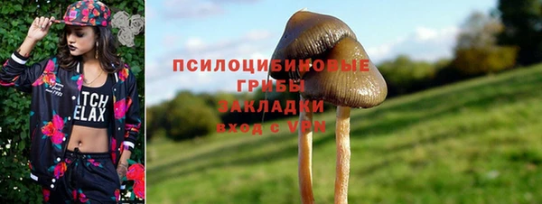 прущая мука Елабуга