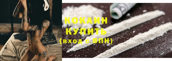 индика Елизово