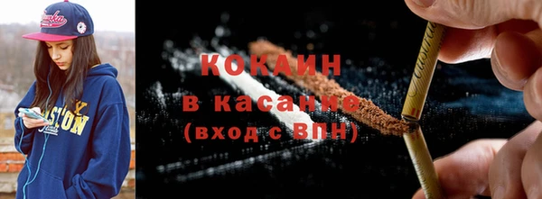 индика Елизово