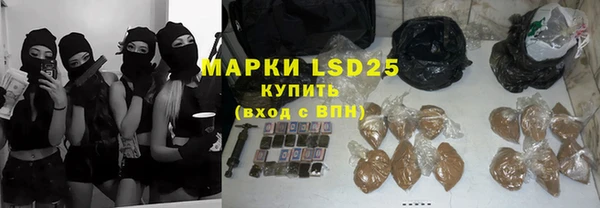 индика Елизово