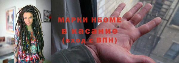 индика Елизово