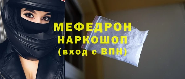 индика Елизово