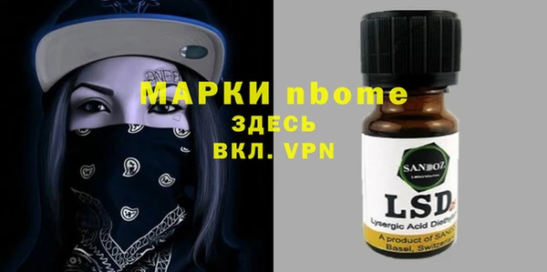 индика Елизово