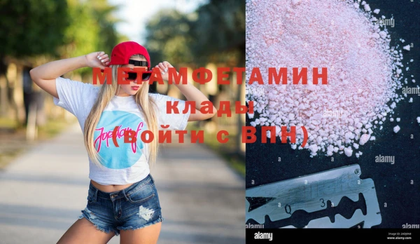 индика Елизово