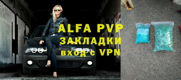 индика Елизово