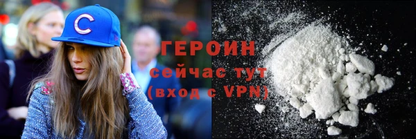 индика Елизово