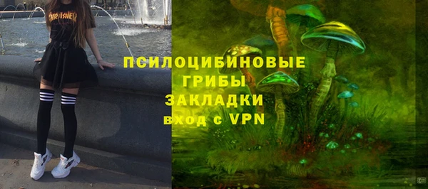 прущая мука Елабуга