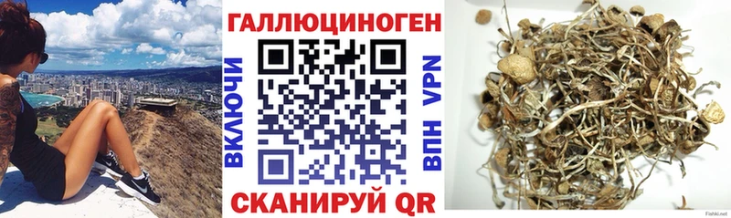 MEGA онион  Новосибирск  Галлюциногенные грибы прущие грибы 